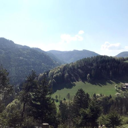 Waldblick Landhaus B&B Schwarzenbach an der Pielach ภายนอก รูปภาพ