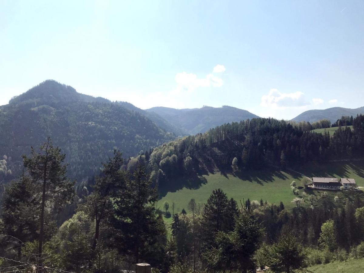 Waldblick Landhaus B&B Schwarzenbach an der Pielach ภายนอก รูปภาพ