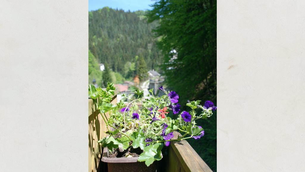 Waldblick Landhaus B&B Schwarzenbach an der Pielach ภายนอก รูปภาพ