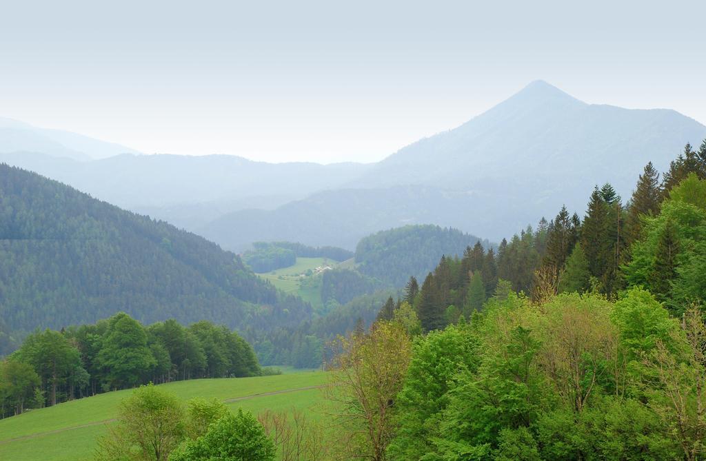 Waldblick Landhaus B&B Schwarzenbach an der Pielach ภายนอก รูปภาพ